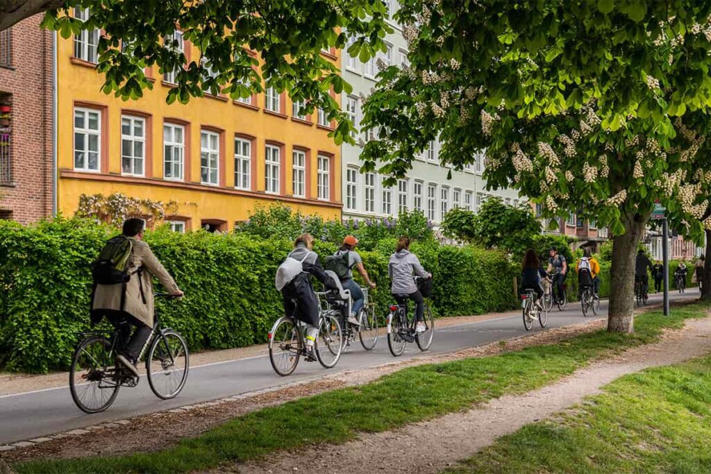 Biking in Copenhagen