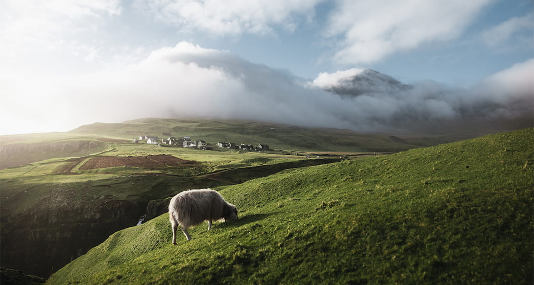 Faroe Islands with dramatic cliffs winding fjords and remote villages showcasing the untouched natural beauty of the archipelago