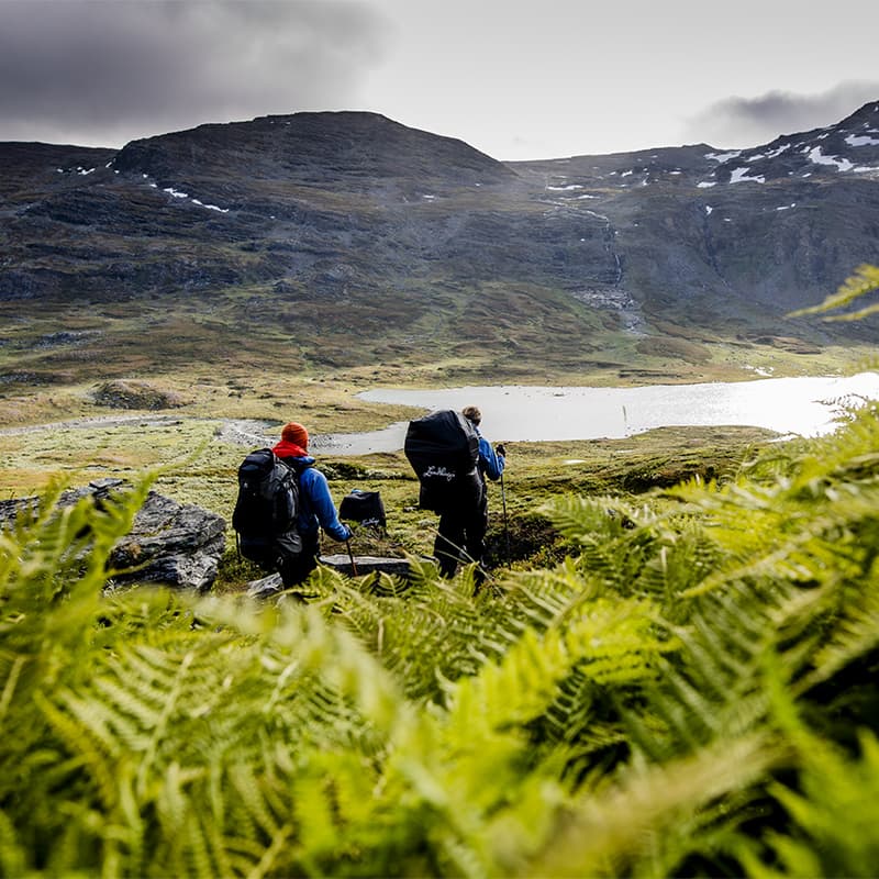 Hiking in Swedish Lapland