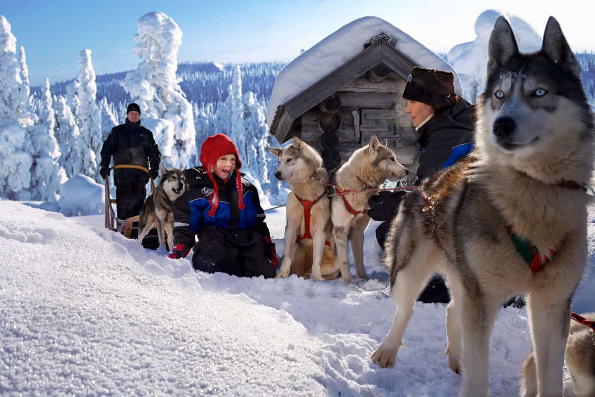 Husky farm