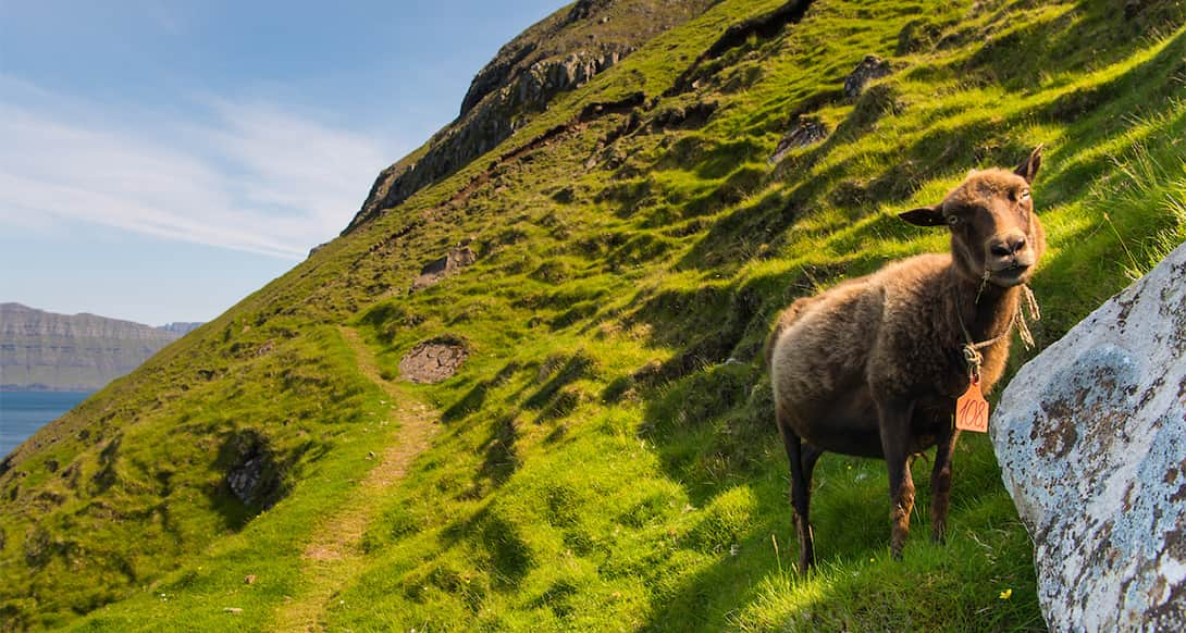 Oyndarfjordur in Faroe Islands