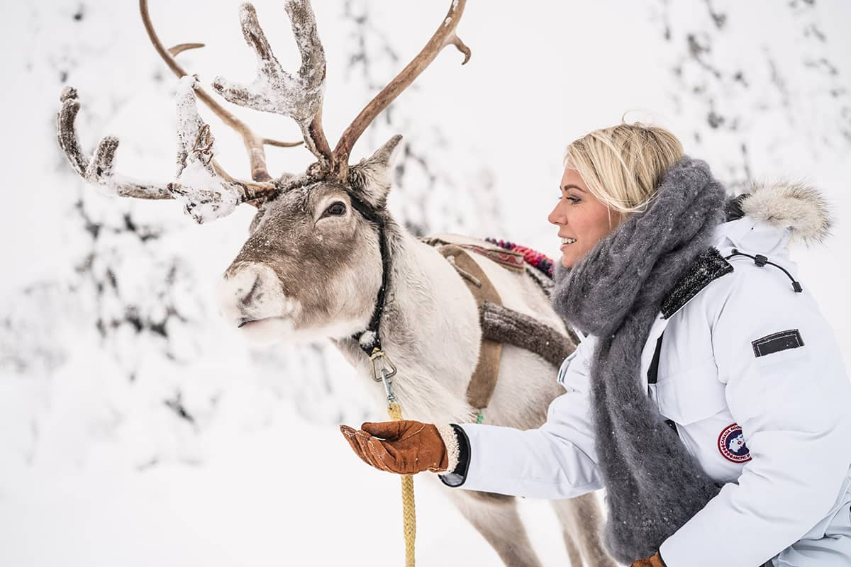 Reindeer farm in Finland