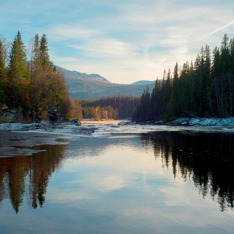 River landscape in Swedish nature