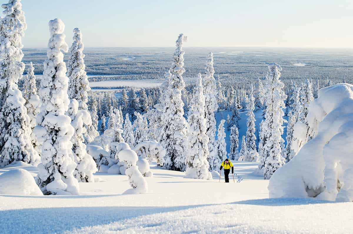 Snowshoeing