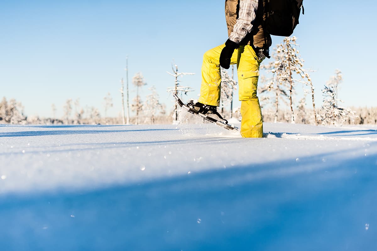 Snowshoeing in the Lappish wilderness