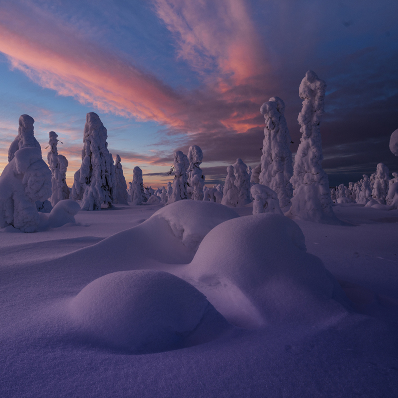 Winter landscape in Swedish Lapland