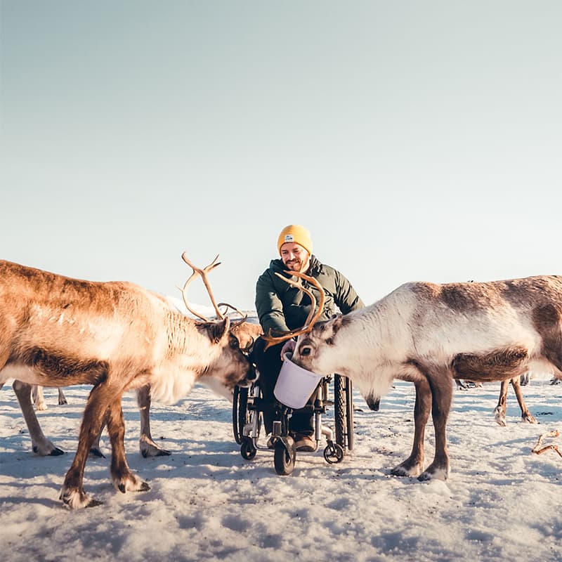 Guests feeding reindeer by hand at Tromsø Arctic Reindeer surrounded by open tundra and soft winter light