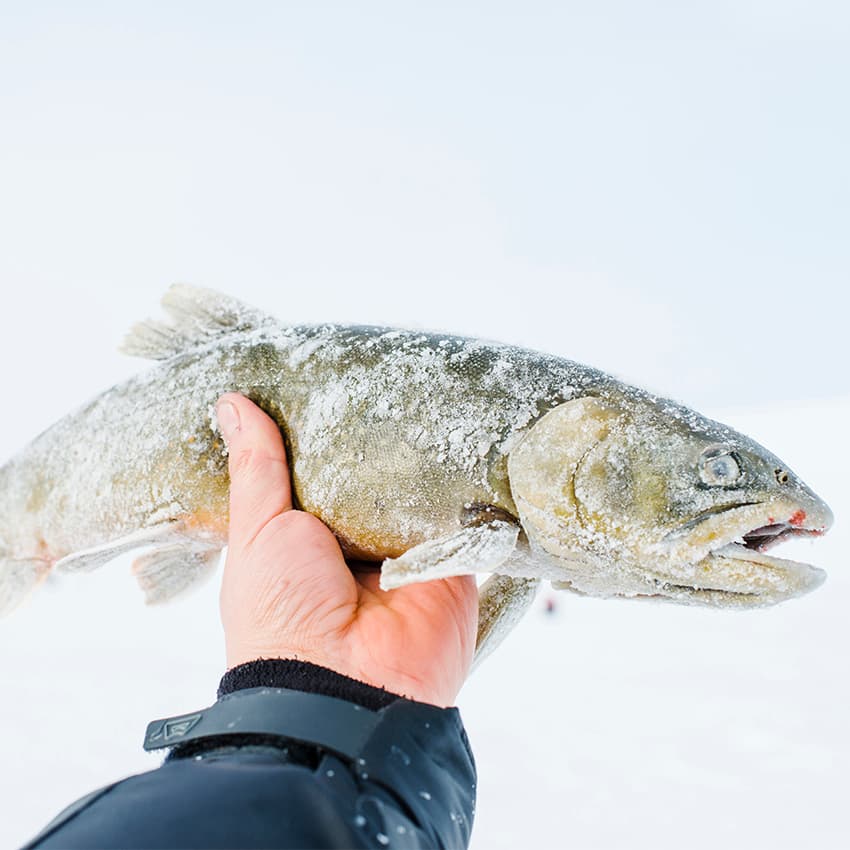 Ice fishing in Levi in Finland