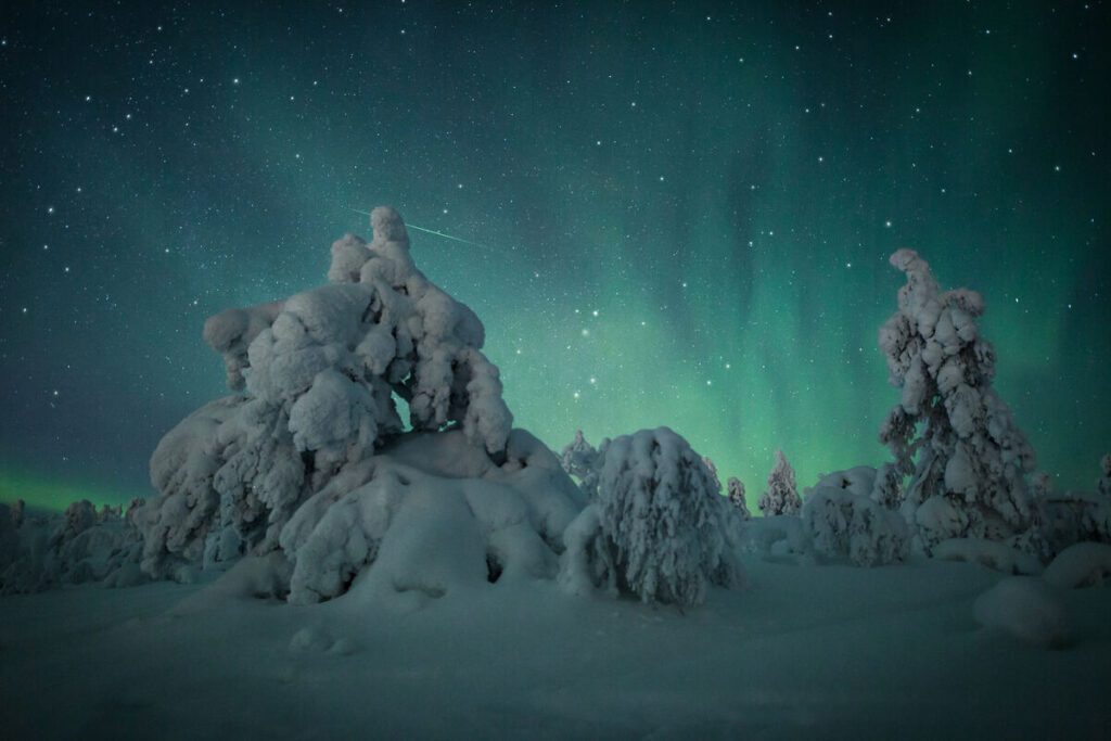 Levi snow covered trees northern lights