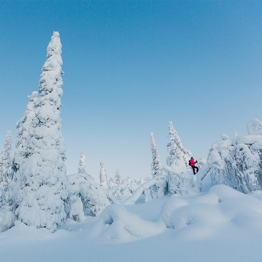 Levi snowshoeing