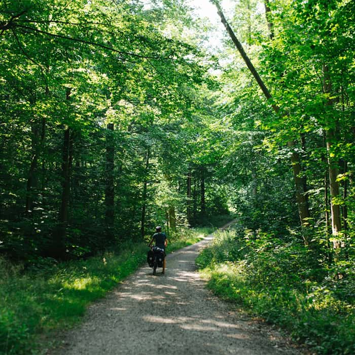 Man on a biking path in the middle of Kollund forest in Denmark