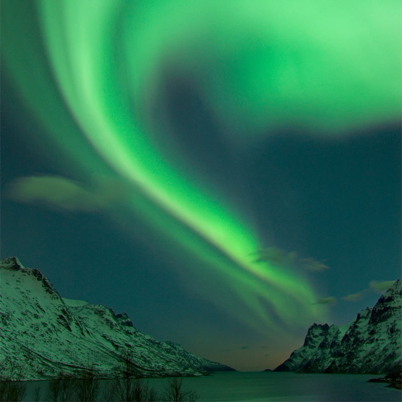 Vivid green northern lights dancing across the night sky above Tromsø with silhouettes of mountains and calm arctic scenery