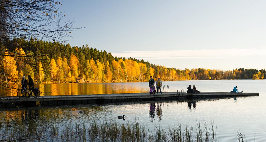 People walking through peaceful forest in Oslo on a quiet Sunday surrounded by tall trees and soft light relaxing nature experience