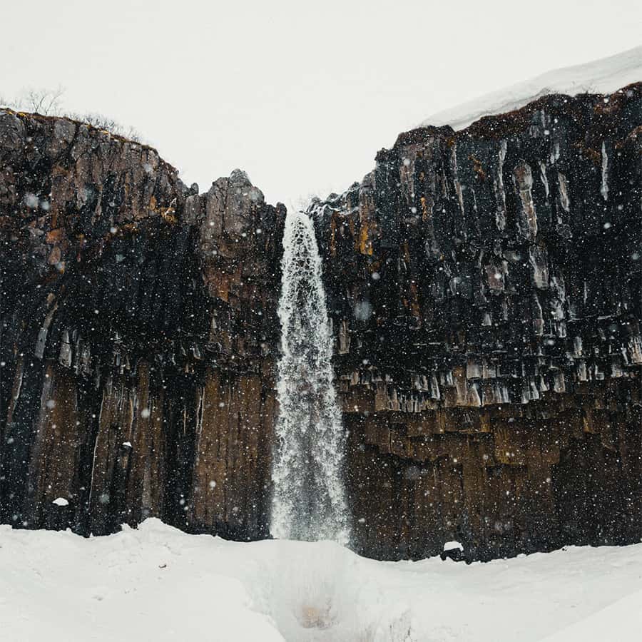 Frozen waterfall at Svartifoss in South Iceland with icy basalt columns and snow covered cliffs in Skaftafell during the winter season