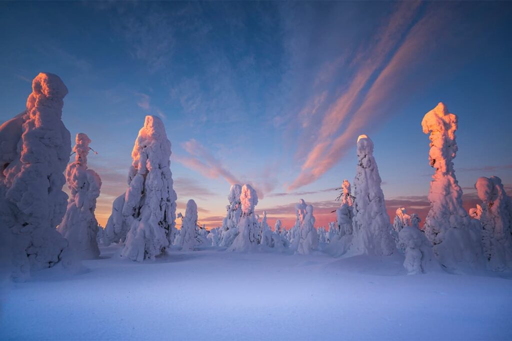 Winter landscape in Swedish Lapland